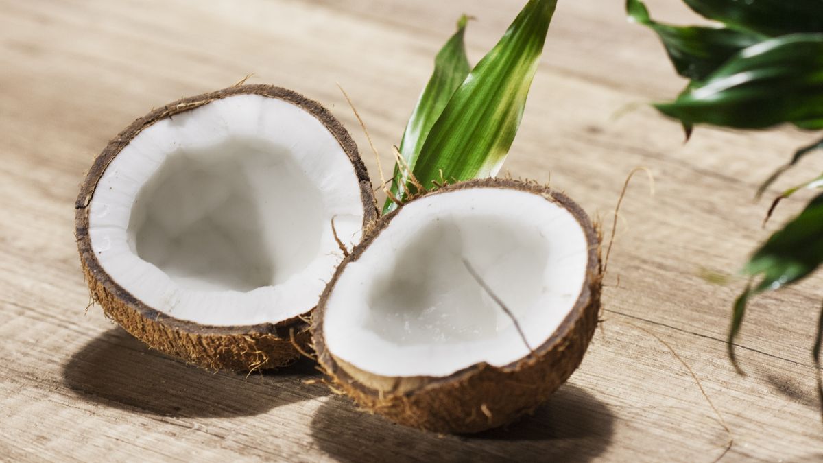 World Coconut Day 2023 History, Significance And Other Important Details